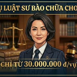 DỊCH VỤ LUẬT SƯ BÀO CHỮA CHO BỊ CAN